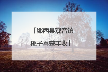 郧西县观音镇桃子喜获丰收