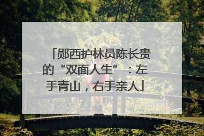 郧西护林员陈长贵的“双面人生”：左手青山，右手亲人