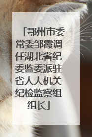鄂州市委常委邹霞调任湖北省纪委监委派驻省人大机关纪检监察组组长