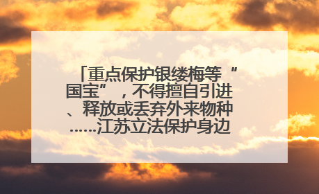 重点保护银缕梅等“国宝”，不得擅自引进、释放或丢弃外来物种……江苏立法保护身边的生物“朋友圈”