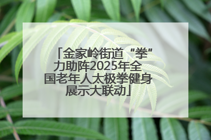 金家岭街道“拳”力助阵2025年全国老年人太极拳健身展示大联动