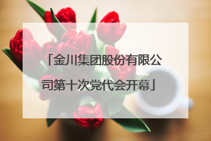 金川集团股份有限公司第十次党代会开幕