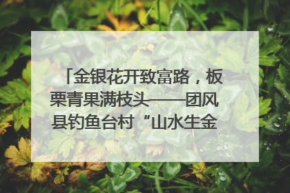 金银花开致富路，板栗青果满枝头——团风县钓鱼台村“山水生金”谱写共富新篇章