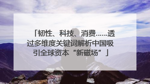 韧性、科技、消费……透过多维度关键词解析中国吸引全球资本“新磁场”
