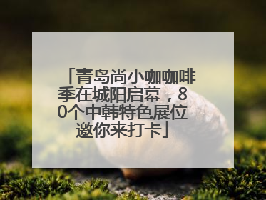 青岛尚小咖咖啡季在城阳启幕，80个中韩特色展位邀你来打卡