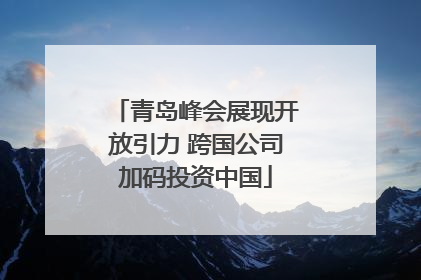 青岛峰会展现开放引力 跨国公司加码投资中国