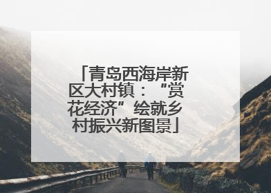 青岛西海岸新区大村镇：“赏花经济”绘就乡村振兴新图景