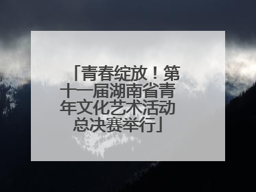 青春绽放！第十一届湖南省青年文化艺术活动总决赛举行