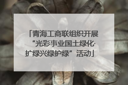 青海工商联组织开展“光彩事业国土绿化·扩绿兴绿护绿”活动