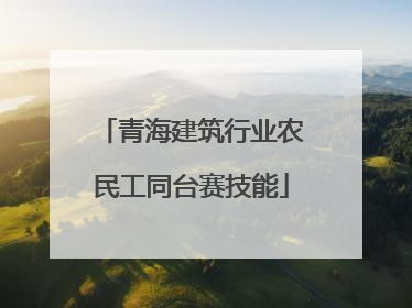 青海建筑行业农民工同台赛技能