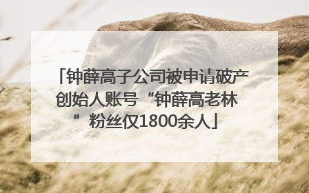 钟薛高子公司被申请破产 创始人账号“钟薛高老林”粉丝仅1800余人