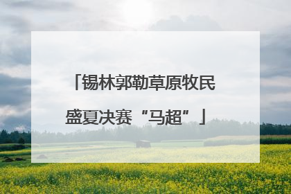 锡林郭勒草原牧民盛夏决赛“马超”