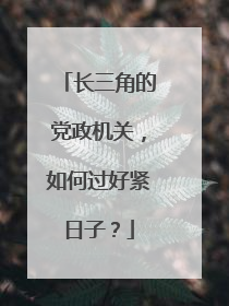 长三角的党政机关，如何过好紧日子？