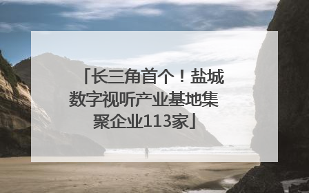 长三角首个！盐城数字视听产业基地集聚企业113家