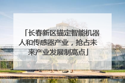 长春新区锚定智能机器人和传感器产业，抢占未来产业发展制高点