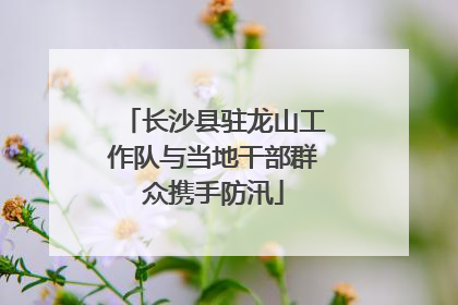 长沙县驻龙山工作队与当地干部群众携手防汛
