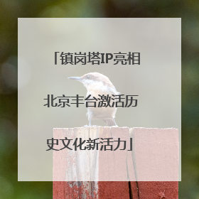 镇岗塔IP亮相 北京丰台激活历史文化新活力