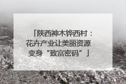陕西神木铧西村：花卉产业让美丽资源变身“致富密码”