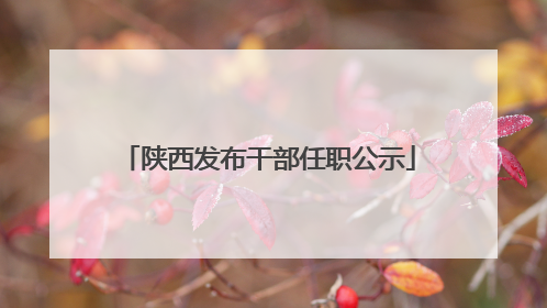 陕西发布干部任职公示