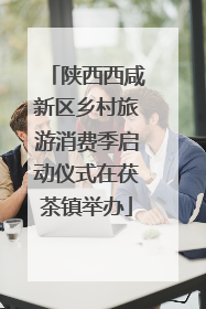 陕西西咸新区乡村旅游消费季启动仪式在茯茶镇举办