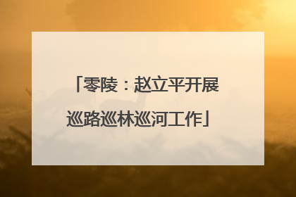 零陵：赵立平开展巡路巡林巡河工作