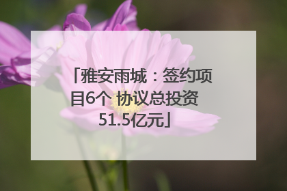 雅安雨城：签约项目6个 协议总投资51.5亿元