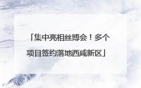 集中亮相丝博会！多个项目签约落地西咸新区