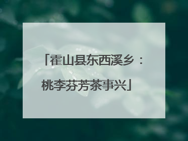 霍山县东西溪乡：桃李芬芳茶事兴