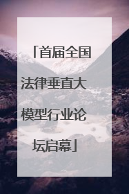 首届全国法律垂直大模型行业论坛启幕
