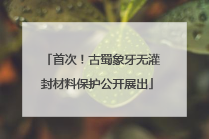 首次！古蜀象牙无灌封材料保护公开展出
