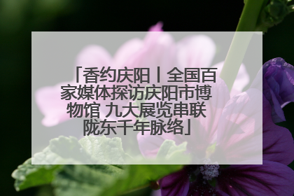 香约庆阳丨全国百家媒体探访庆阳市博物馆 九大展览串联陇东千年脉络