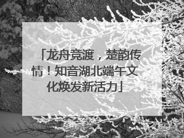 龙舟竞渡，楚韵传情！知音湖北端午文化焕发新活力