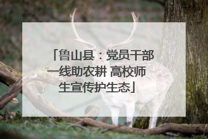 鲁山县：党员干部一线助农耕 高校师生宣传护生态