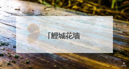 鲤城花墙 梦幻绽放