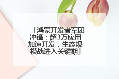 鸿蒙开发者军团冲锋：超3万应用加速开发，生态规模战进入关键期