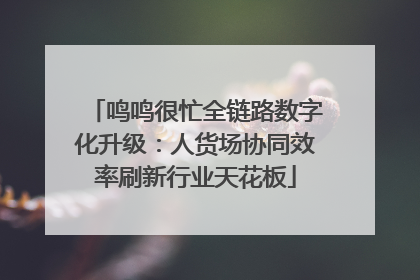 鸣鸣很忙全链路数字化升级：人货场协同效率刷新行业天花板