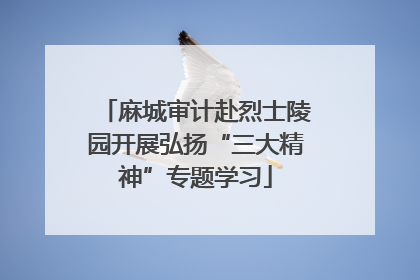 麻城审计赴烈士陵园开展弘扬“三大精神”专题学习