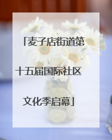麦子店街道第十五届国际社区文化季启幕