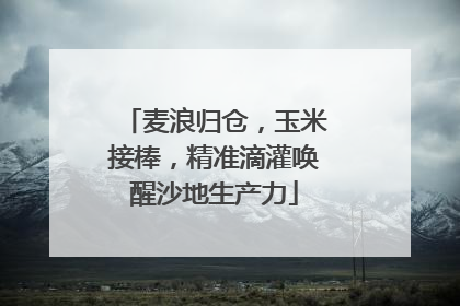 麦浪归仓，玉米接棒，精准滴灌唤醒沙地生产力