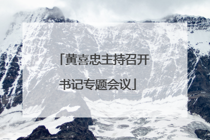 黄喜忠主持召开书记专题会议