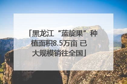 黑龙江“蓝靛果”种植面积8.5万亩 已大规模销往全国