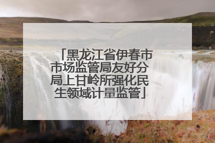 黑龙江省伊春市市场监管局友好分局上甘岭所强化民生领域计量监管