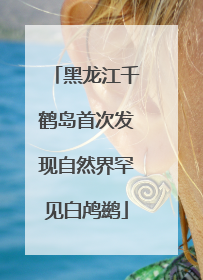 黑龙江千鹤岛首次发现自然界罕见白鸬鹚