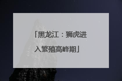 黑龙江：狮虎进入繁殖高峰期