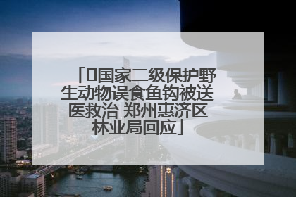 ﻿国家二级保护野生动物误食鱼钩被送医救治 郑州惠济区林业局回应