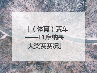 （体育）赛车——F1摩纳哥大奖赛赛况