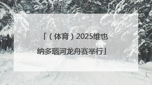 （体育）2025维也纳多瑙河龙舟赛举行