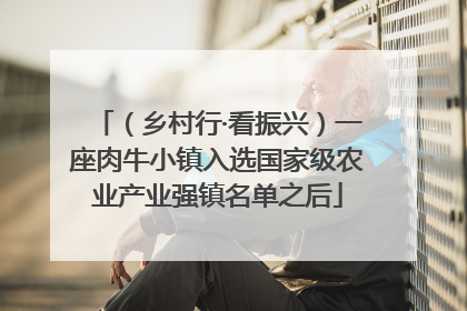 （乡村行·看振兴）一座肉牛小镇入选国家级农业产业强镇名单之后