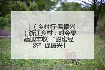 （乡村行·看振兴）浙江乡村：时令果蔬迎丰收 “甜蜜经济”促振兴