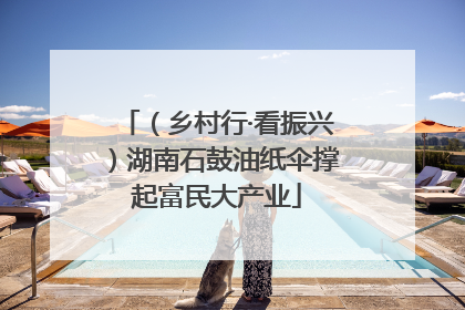 （乡村行·看振兴）湖南石鼓油纸伞撑起富民大产业